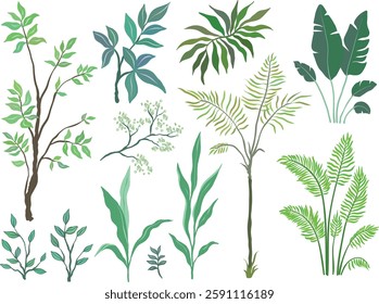 Set of palm trees and plants on white background