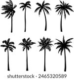 Set of palm trees silhouette