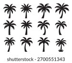 Set of palm trees silhouette 
