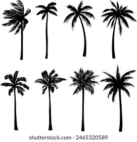 Set of palm trees silhouette