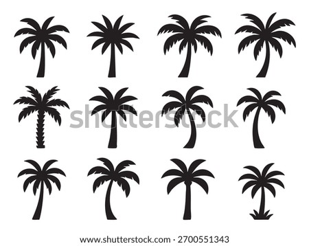Set of palm trees silhouette 

