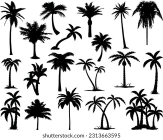 Set of Palm Trees Silhouette, Coconut, Tropical