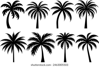 Set of palm trees silhouette isolated on white background. Vector Illustration.