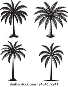 set of palm trees silhouettes vector illustration on white background