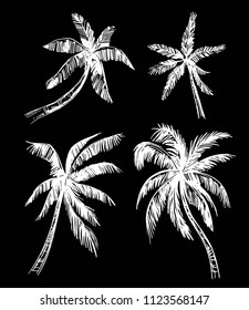 Set of palm trees sketches. Hand drawn vector