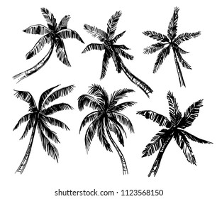 Set of palm trees sketches. Hand drawn vector