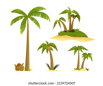 Set with palm trees. Vector illustration with isolated design elements on white background