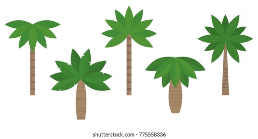 Set of palm in various type, tropical plant in flat design