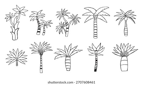 Conjunto de Ilustración vectorial Palmetto