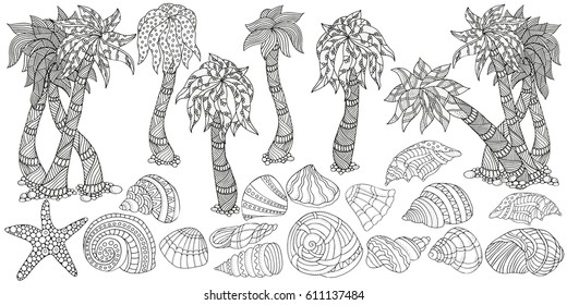 Set of palms and sea shells in zentangle style. Black and white doodle illustration. Coloring book page. 