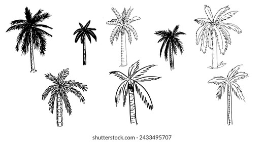 Set of paln trees isolated doodle, sketch style