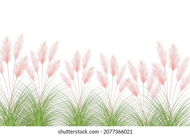 Set of pampas grass stems.Floral ornament elements in boho style.Planta seca para decoración, marco, fondo, impresión de tela, textil retro, papel tapiz.