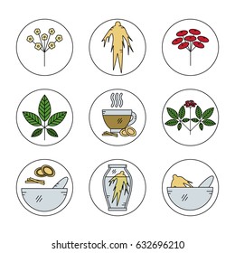 Set of Panax Ginseng line icons.Vector illustration.