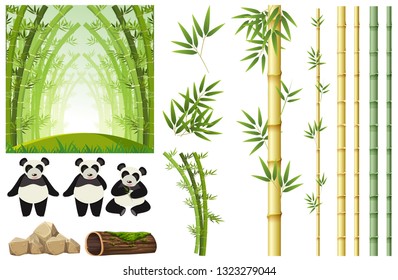 Set of panda and bamboo illustration
