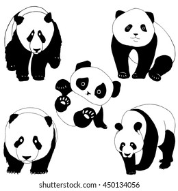 Set of panda bears 