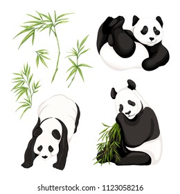 Set of Panda bears. Vector illustration without gradients and transparency.  Isolated on white background.