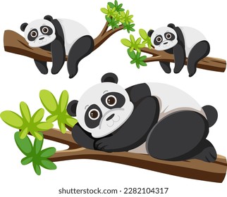 Set of panda cartoon character illustration
