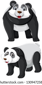 Conjunto de ilustraciones de caracteres panda