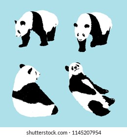 set of panda on blue background, wildlife animal vector illustration