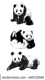 Set Panda Silhouettes Stock Vector (Royalty Free) 649132048 | Shutterstock