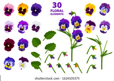 Set of pansies flowers blue, yellow, white, purple, orange, leaves, branches isolated on a white background. Vector image pansy flowers.
