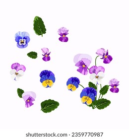 Set of Pansy flower isolated on white background. vector illustration.