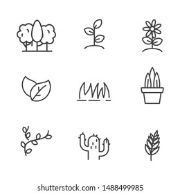 Set of pant and tree related icon line. Plant and trees vector illustration with simple line design 