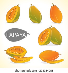 Set of papaya fruit in vector and various styles