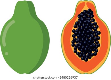 Set papaya fruit whole and sliced. Illustration in cartoon flat style, Carica papaya healthy food for diet vegan isolated