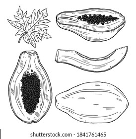 A set of papaya fruits in various forms. Whole and sliced fruit with leaves on a white background. Black outline doodle style.