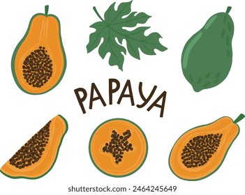 Un conjunto de papaya y trozos de papaya en rodajas (enteros, mitades, rebanadas) resaltado sobre un fondo blanco en un estilo de dibujos animados.Ilustración vectorial.