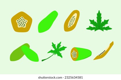 set of papaya vector illustration. create in flat vector style, and perfect for your project.