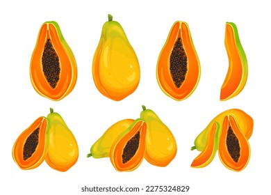 A set of papaya.Papaya whole and in half, slices.Ripe, healthy fruits.Vector illustration isolated on a white background.