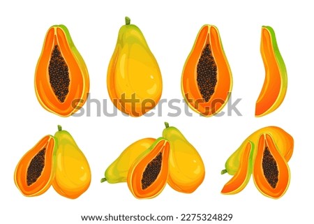 A set of papaya.Papaya whole and in half, slices.Ripe, healthy fruits.Vector illustration isolated on a white background. Foto d'archivio © 