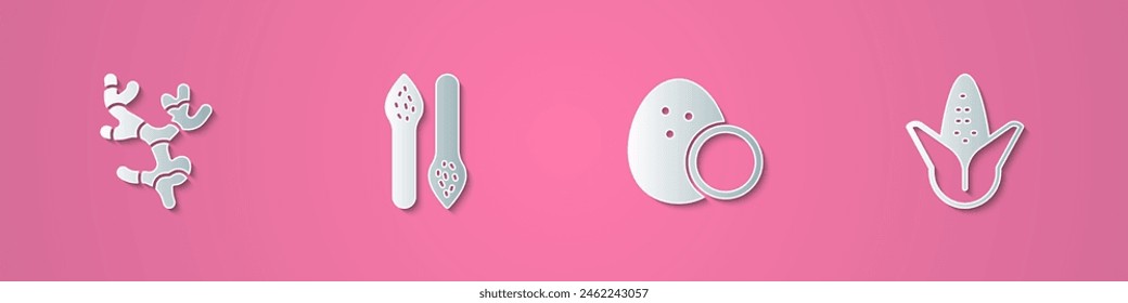 Set paper cut Ginger root, Asparagus, Coconut and Corn icon. Paper art style. Vector