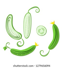 Set of paper cut green cucumber. Vector paper cut design in the form of ripe cucumber whole and slice. Vector illustration. Paper applique art style vegetable. Origami concept.