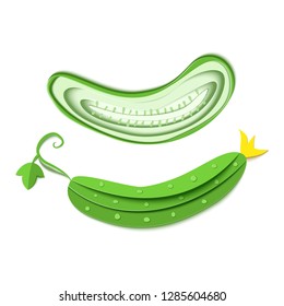 Set of paper cut green cucumber. Vector paper craft design in the form of ripe cucumber whole and slice. Vector illustration. Paper applique art style vegetable. Origami concept.