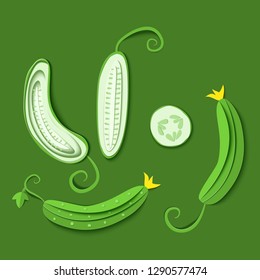 Set of paper cut green cucumber. Vector paper craft design in the form of ripe cucumber whole and slice. Vector illustration. Paper applique art style vegetable. Origami concept