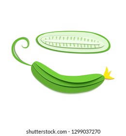Set of paper cut green cucumber. Vector paper craft design in the form of ripe cucumber whole and slice. Vector illustration. Paper applique art style vegetable. Origami concept.