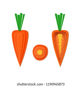 Set of paper cut orange carrot. Vector paper cut design in the form of ripe carrots whole and slice for design of food packaging. Vector illustration. Paper applique vegetable. Origami concept.