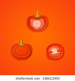 Set of paper cut red tomato. Vector paper cut design in the form of ripe tomato whole and slice for design of food packaging. Vector illustration. Paper applique art style vegetable. Origami concept.