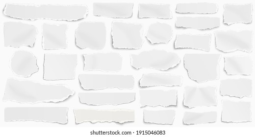 Set of paper different shapes fragments placed elongately and isolated on white background