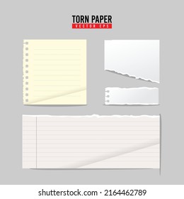 Set of paper sheets and pieces. Squared and lined notepaper, paper with hole and roll, torn edge roll with ripped edges, ragged pages, scotch tape, paper clip. Realistic vector template for branding