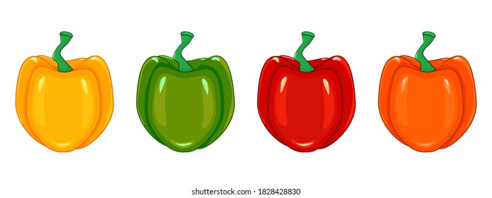 Set of paprika in different colors isolated on white background. Red, green, orange, yellow peppers collection. Whole capsicum bell icon set. Organic vegetable. Farm product. Stock vector illustration