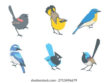 Set Paradis Ilustración vectorial de pájaros