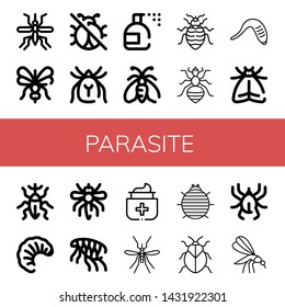 Set of parasite icons such as Mosquito, No insects, Mite, Insecticide, Moth, Bed bug, Louse, Leech, Weevil, Larva, Flea, Antiseptic, Woodlouse, Stink bug, Acari , parasite