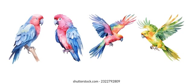 Set of parrot birds watercolor isolated on white background. Vector illustration