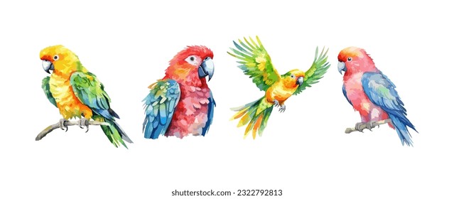 Conjunto de acuarela de pájaros de loro aislada en un fondo blanco. Ilustración del vector