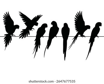 Set of parrot black silhouette, Parrot Silhouette Vector Set