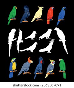 set of parrot cartoon bird and black and white design flat vector illustration isolated on black background.